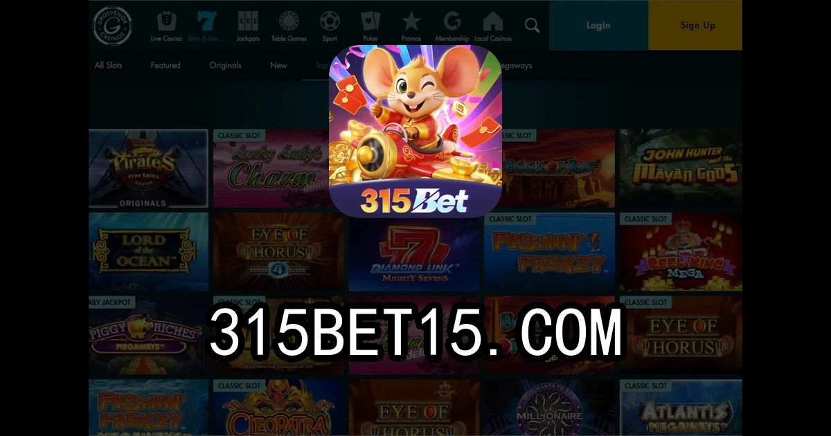 315bet